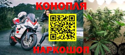 мяу мяу мука Можайск