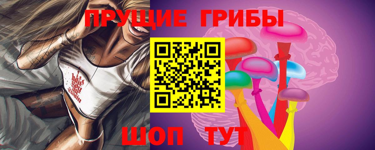 Великий Новгород  закладки  Вход с VPN  Псилоцибиновые грибы Magic Shrooms  Псилоцибиновые грибы Magic Shrooms 